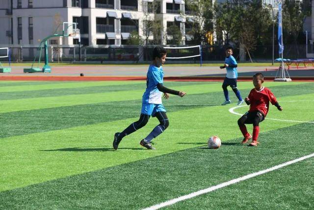 中国男篮仅存理论出线可能 下一场必须赢36+分